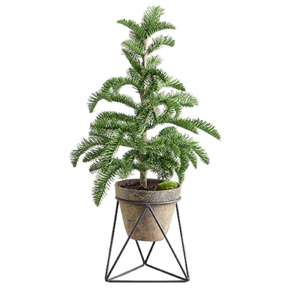 Brayden Studio® Pine Tree in Planter Wayfair
